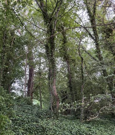 Psykolog på Djursland